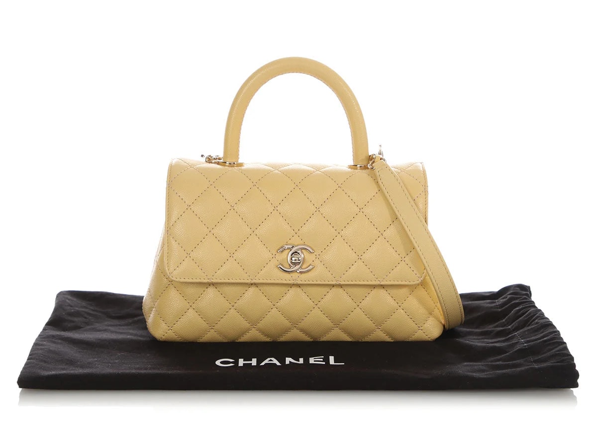 Chanel Light Small Coco Handle 2