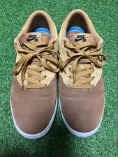 Nike SB Check Solar ’s 10.5 US Skate 2