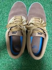 Nike SB Check Solar ’s 10.5 US Skate 3