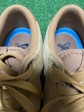 Nike SB Check Solar ’s 10.5 US Skate 4