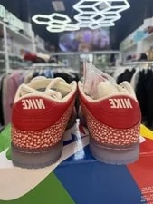 Nike SB Dunk Low Stingwater Magic - DH7650-600 Size 8.5 New 3