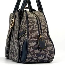 Christian Dior Double Saddle Trotter #HC 3