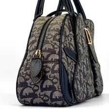 Christian Dior Double Saddle Trotter #HC 4