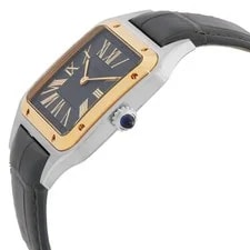 Cartier Santos-Dumon Quartz Grey Dial W2SA0036 2