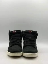 Nike SB Dunk High Oski Shark (Worn/no BOX) 2