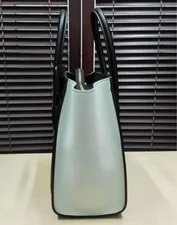 Celine Luggage Shopper Un Condition With Dust 3