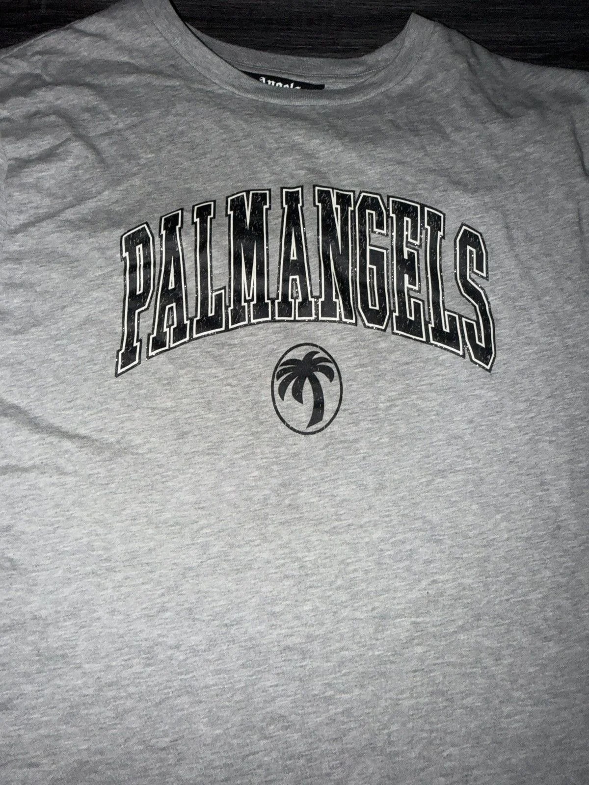 Palm Angels — Palm Angels College Palm T Shirt — streetwear — resale