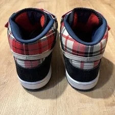 Nike SB Dunk Mid Goofy Boy Clean Plaid 314381 021 4