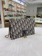 Dior Monogram WOC Chain 2