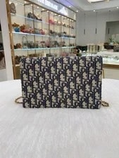 Dior Monogram WOC Chain 4