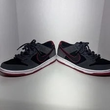 Nike SB Zoom Dunk Low Pro IW Ishod Wair 895969-006 3