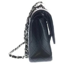 Chanel Matelasse 25 Double Flap Chain Skin d6696 3