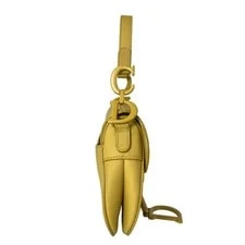 Christian Dior /ChristianDior Saddle 2