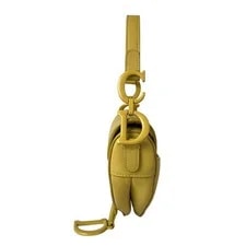 Christian Dior /ChristianDior Saddle 4
