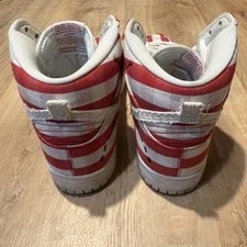Nike SB Dunk High Picnic Clean Table 305050 610 4