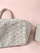 Goyard Saint Louis , With 🎀Authentic 🎀 4
