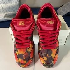 Nike Sb Dunk Low X Wizard of Oz 3