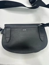 Dior Saddle for Grained Hardware [] 2