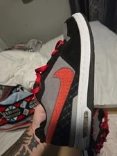 Nike SB Paul Rodriguez PRod Zoom Air Low 2