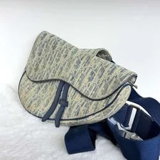 Dior Saddle Body Soft 4