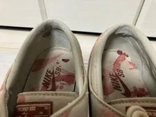 8.5US Nike Sb Stefan Janoski Model LTD Collection Original 3