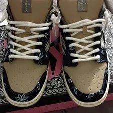 Dunk Low SB Low Top Paisley Lace Up 2
