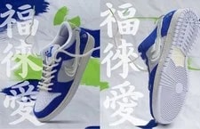 Nike SB — 10.5US Fly Streetwear Nike Sb Dunk Low — Sneaker — resale