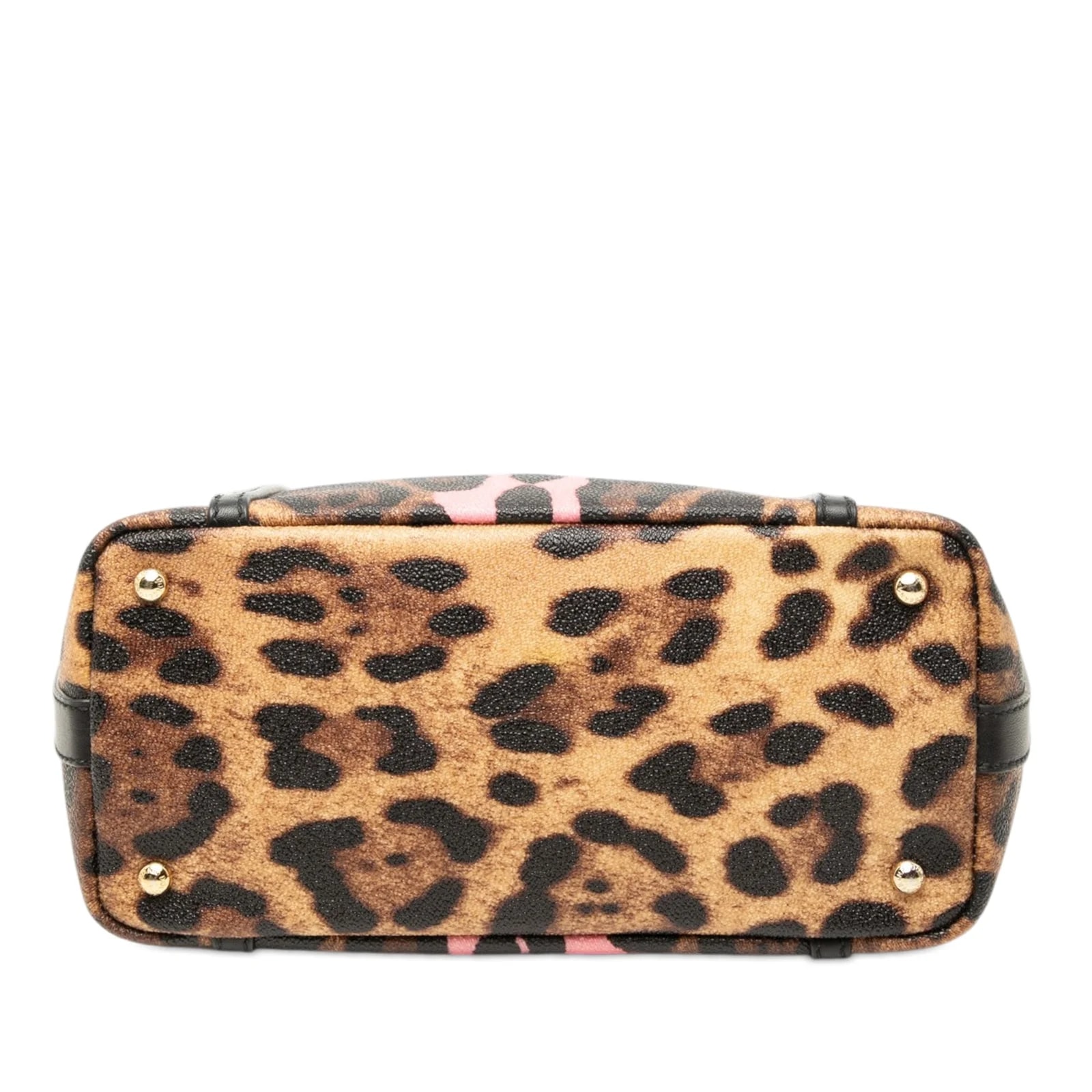 Leopard Print Miss Escape 3