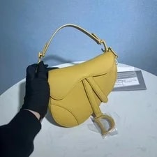 Dior Saddle Mini - Excellent #SIN1PM 2