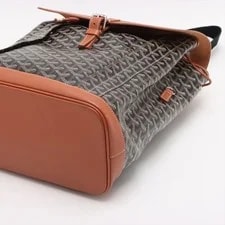 Goyard Alpine & Backpack 3