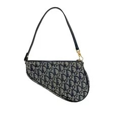 Dior Mini Saddle Trotter 2