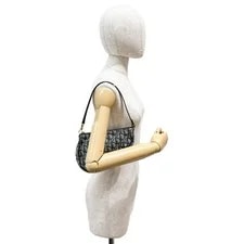 Dior Mini Saddle Trotter 3