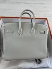 Hermes Birkin 25 Light Hardware 3