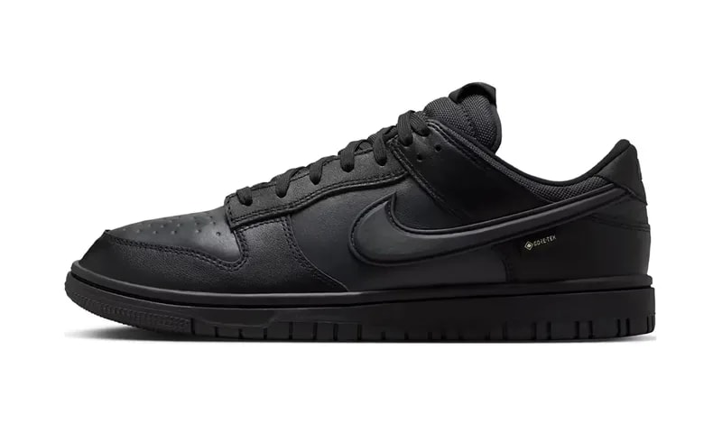 NIKE — Dunk Low Gore-Tex " HQ2053 001 — Sneaker — resale