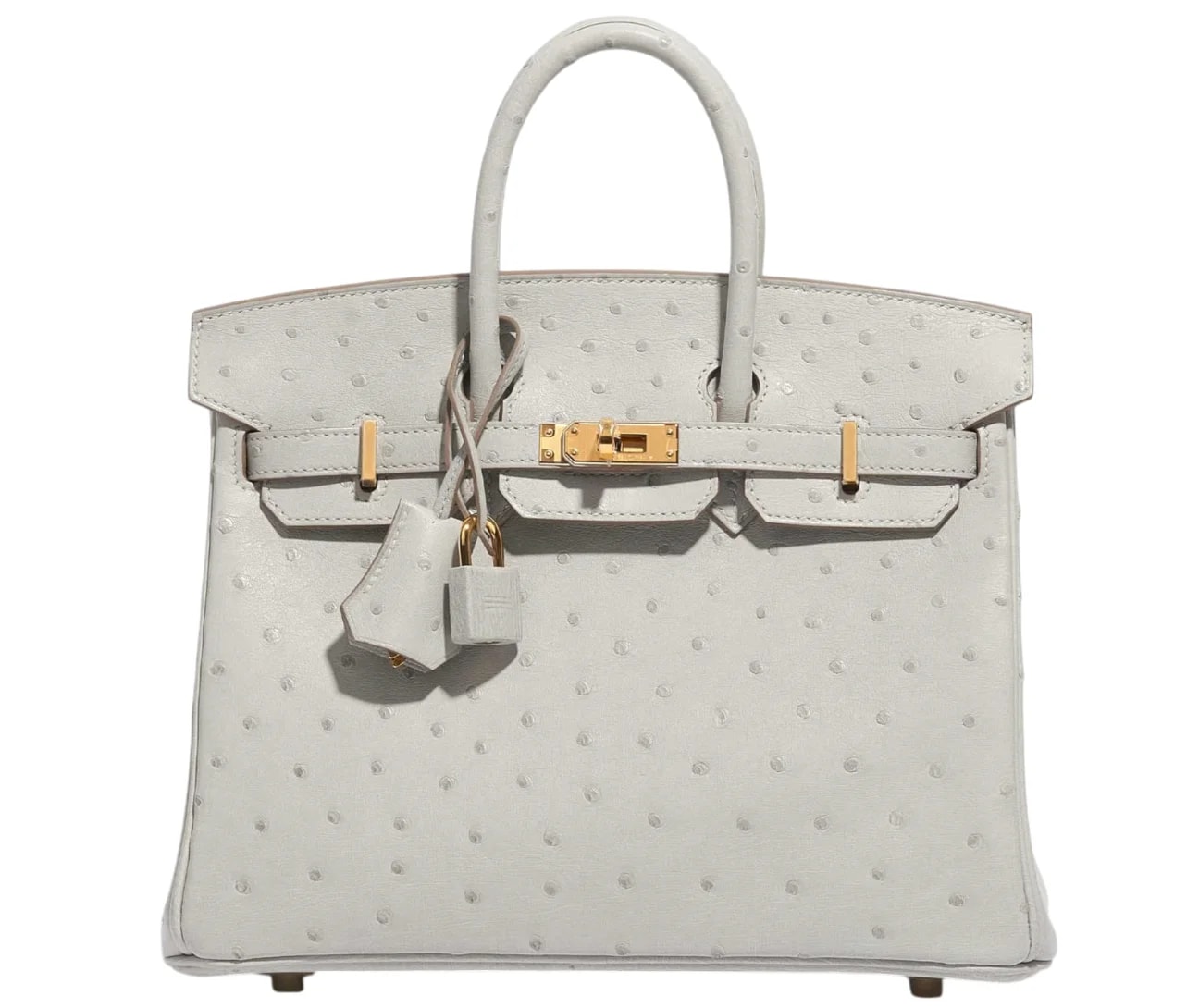 Hermès — Hermès HSS Autruche Perle Birkin 25 With -tone — Handbag — resale