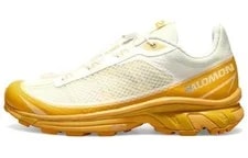 Salomon — Salomon XT-6 FT Ice 471514 — Sneaker — resale