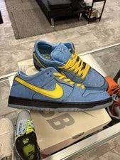 Nike — Size 10.5 - the Powerpuff X Nike Dunk Pro SB QS Low Bubbles — Sneaker — resale