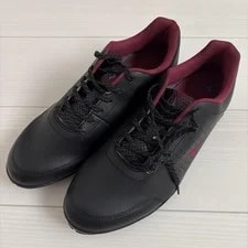 Mizuno — Mizuno 8.5US Golf Shoes Widelight Golf Model JPN Limited Edition Vhtf P — Sneaker — resale