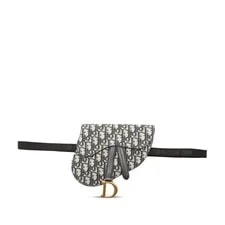 Dior Saddle Belt