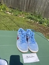 Nike SB — Size 9.5 - Nike SB Dunk Low Philadelphia Phillies — Sneaker — resale
