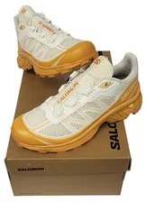 Salomon — Salomon XT-6 FT Ice/Buckskin/ Sport Shoe (Pick UR Size) — Sneaker — resale