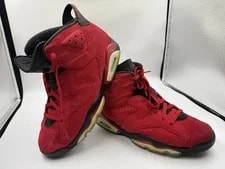 Air Jordan 6 Toro Bravo 2023