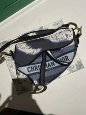 Dior — Dior Saddle -Tone Hardware Strap — Handbag — resale