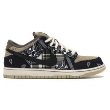 Nike SB Dunk Low (Special Box)