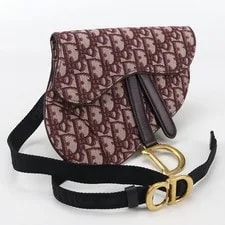 Dior — Excellent Condition Dior Body Belt Saddle From Japa — Handbag — resale