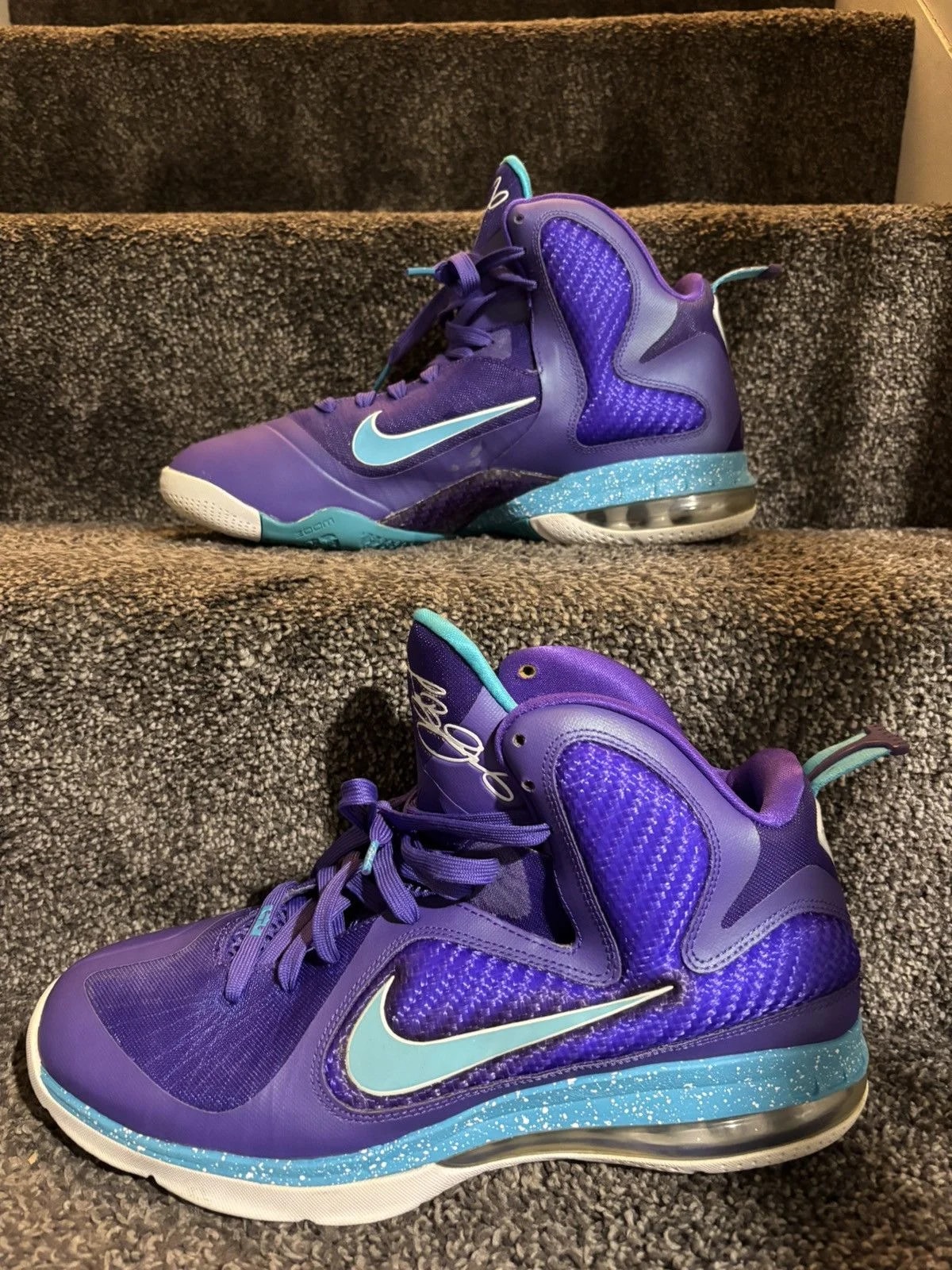 Nike — Nike LeBron 9 Lake Hornets 🔥 — Sneaker — resale