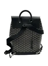 Goyard — Goyard Alpin Backpack With Authenticity Retail $4000 — Handbag — resale