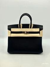 Hermès — NEW 2026 Hermès Birkin 25 Palladium Hardware ( ) — Handbag — resale