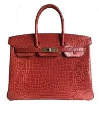 Hermès — Hermès Birkin 35 VIF Matte Porosus GHW — Handbag — resale