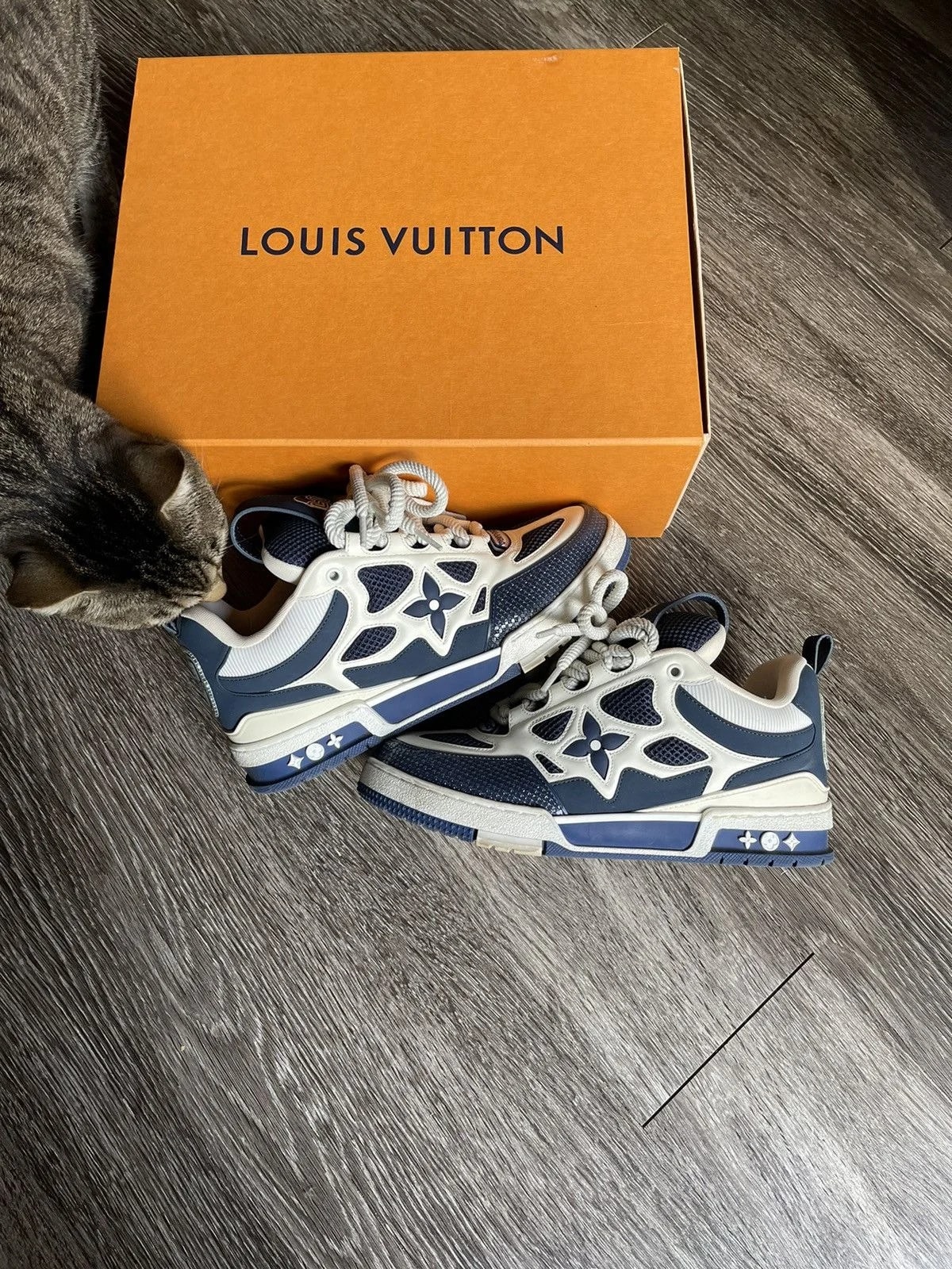 Louis Vuitton — Louis Vuitton Skate Shoe — Sneaker — resale